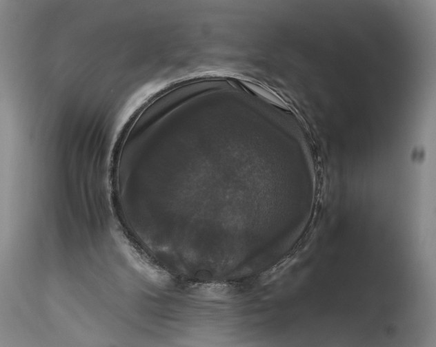 X0000114640104200911101307