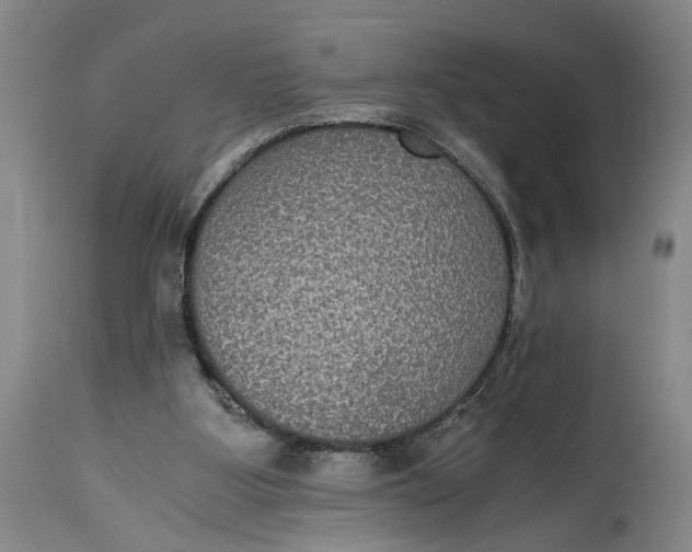 X0000114640107200911101307