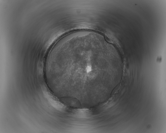 X0000114640108200911101307