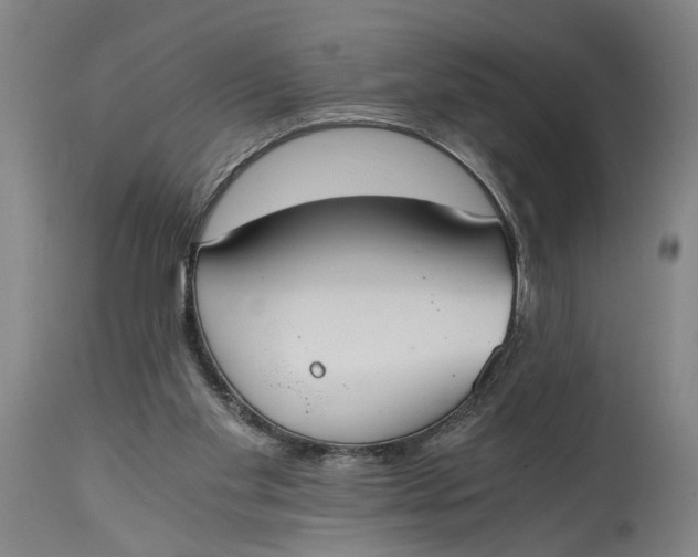 X0000114640109200911101307
