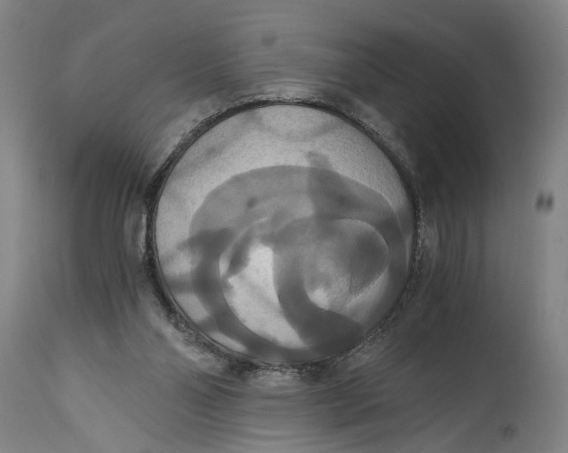X0000114640110200911101307