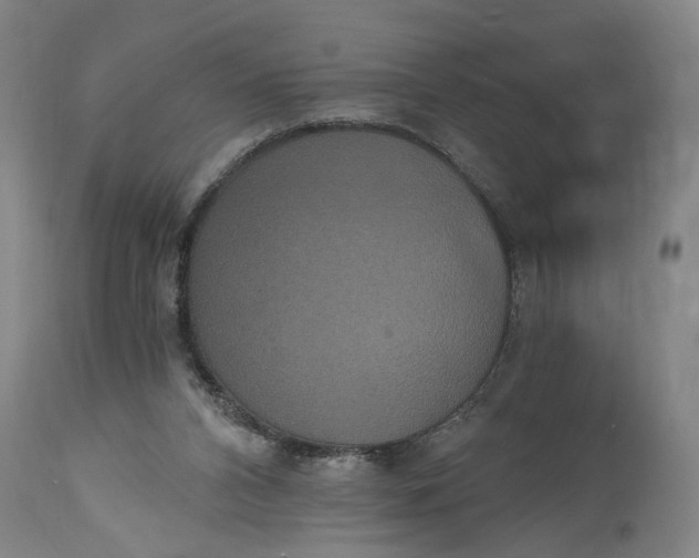 X0000114640112200911101307