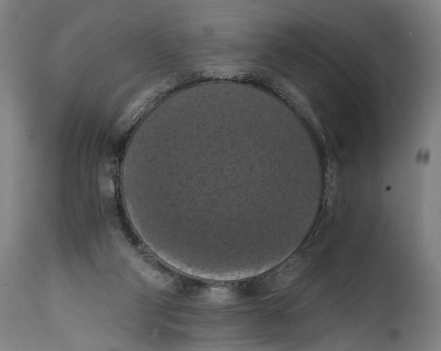 X0000114640114200911101307
