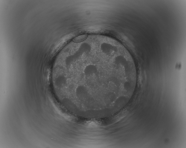 X0000114640115200911101307