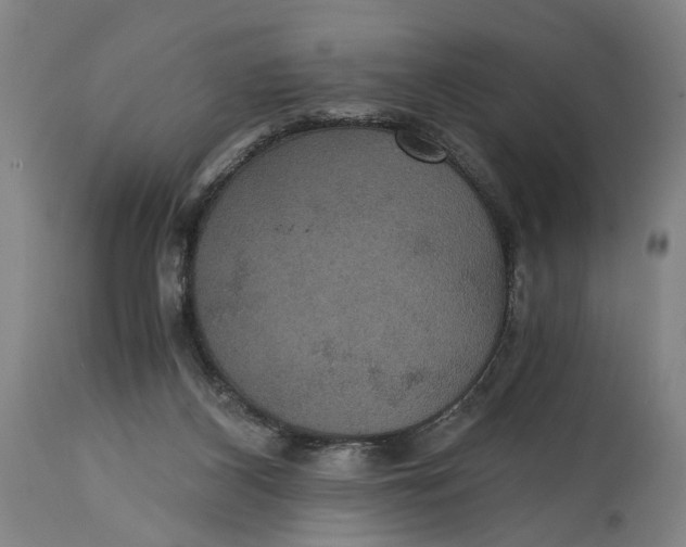 X0000114640116200911101307
