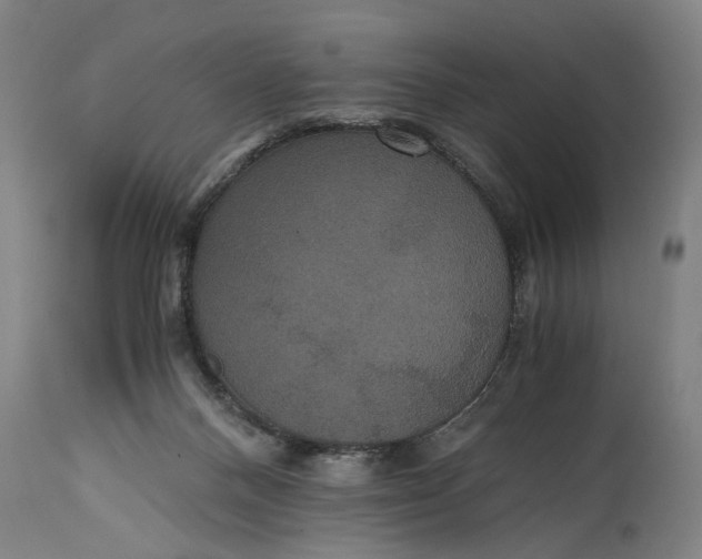 X0000114640120200911101307