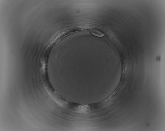 X0000114640124200911101307