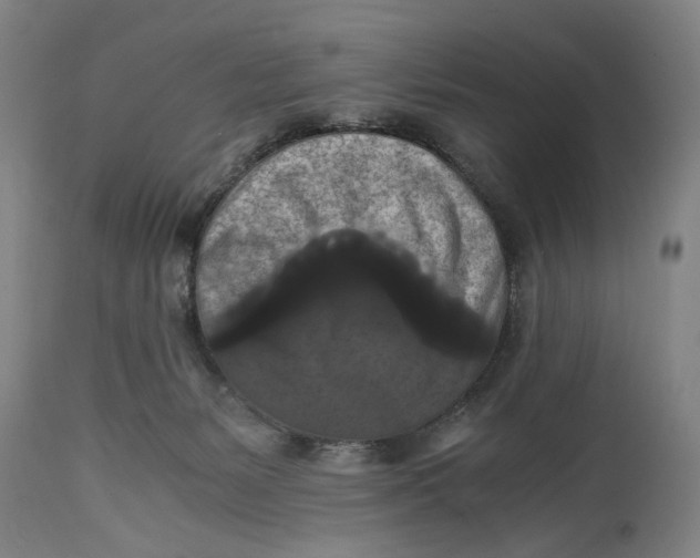 X0000114640127200911101307
