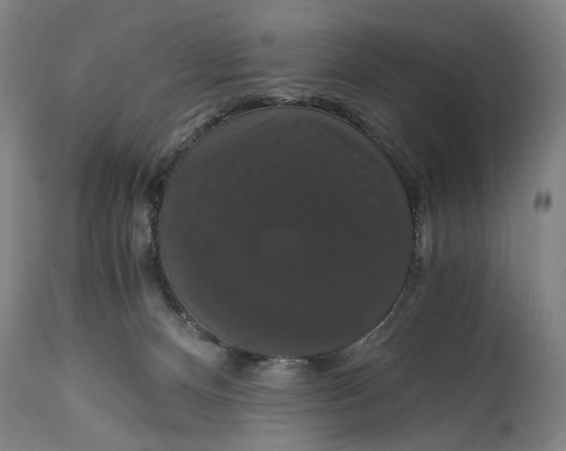 X0000114640128200911101307