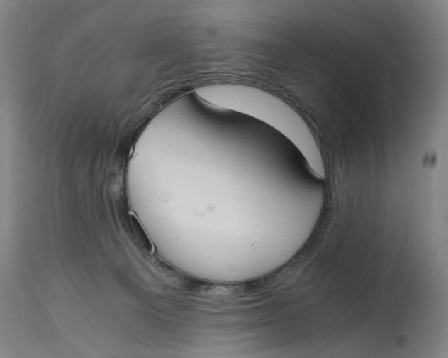 X0000114640129200911101307