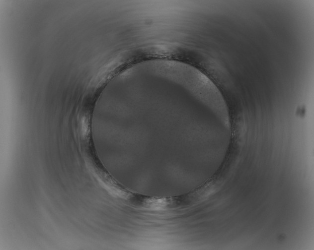 X0000114640131200911101307