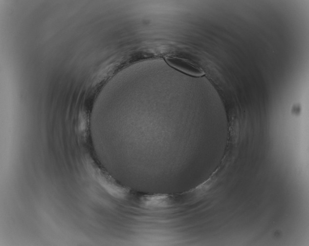 X0000114640132200911101307