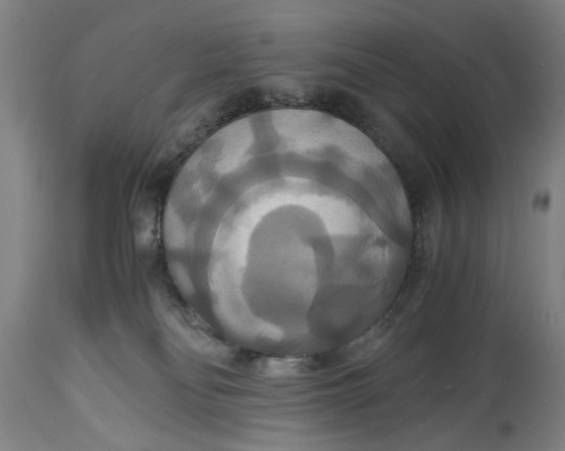 X0000114640134200911101307