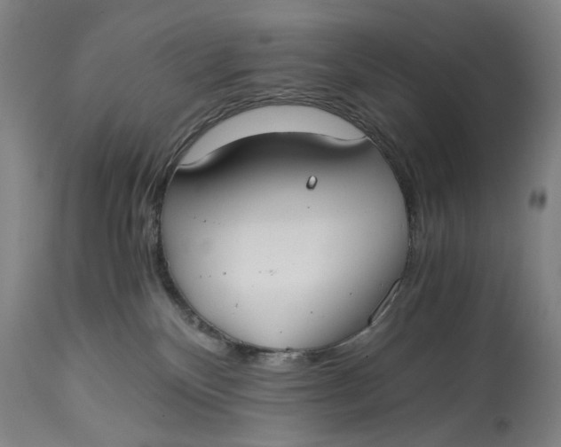 X0000114640136200911101307