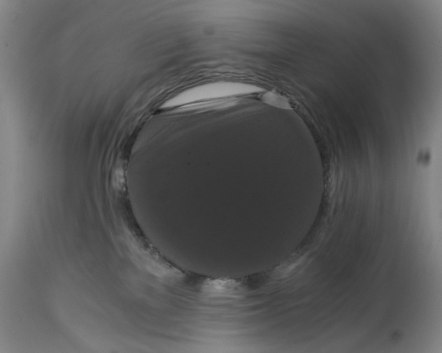 X0000114640137200911101307