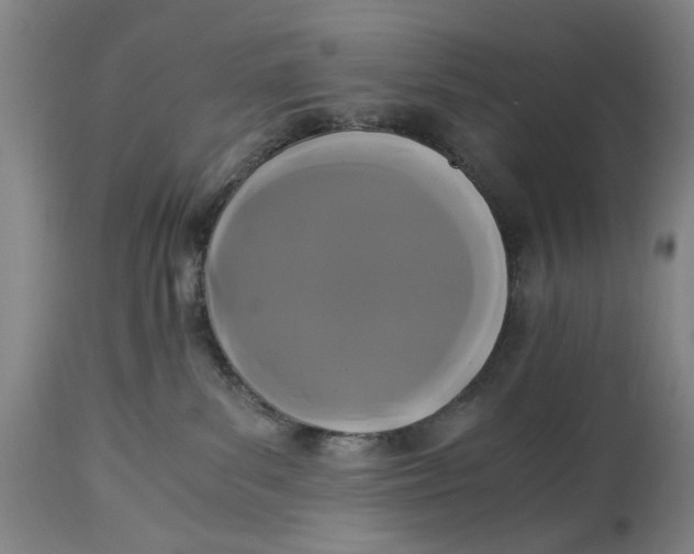X0000114640139200911101307