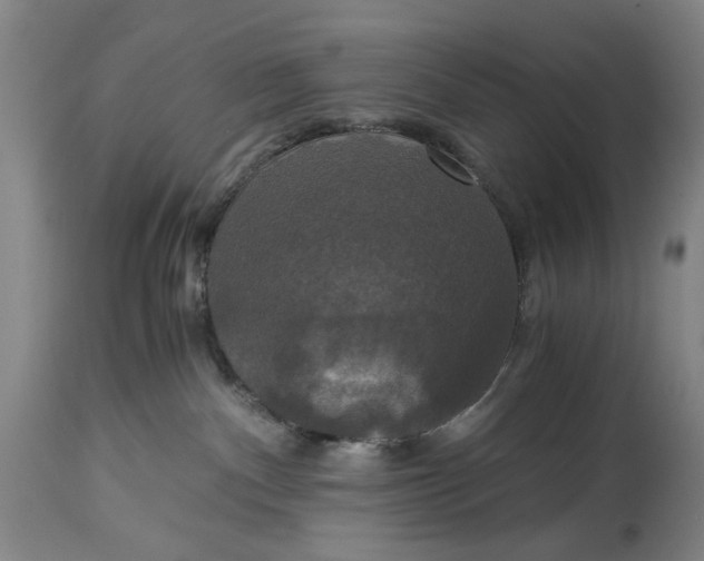 X0000114640140200911101307