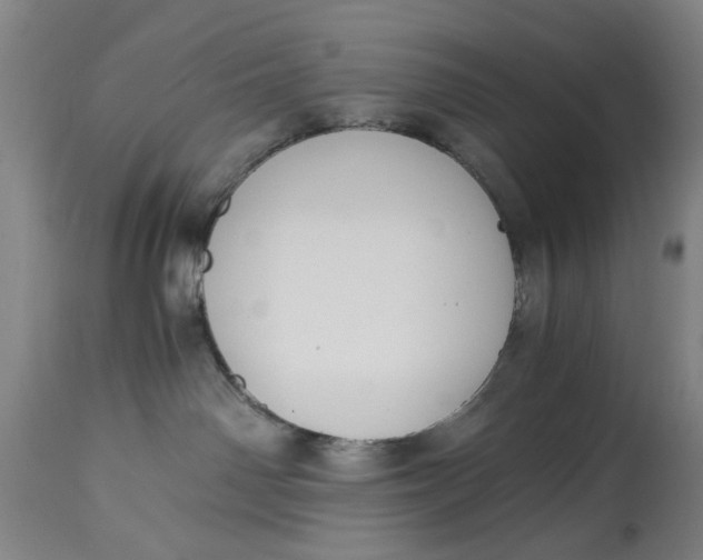 X0000114640142200911101307