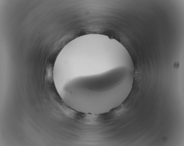 X0000114640143200911101307