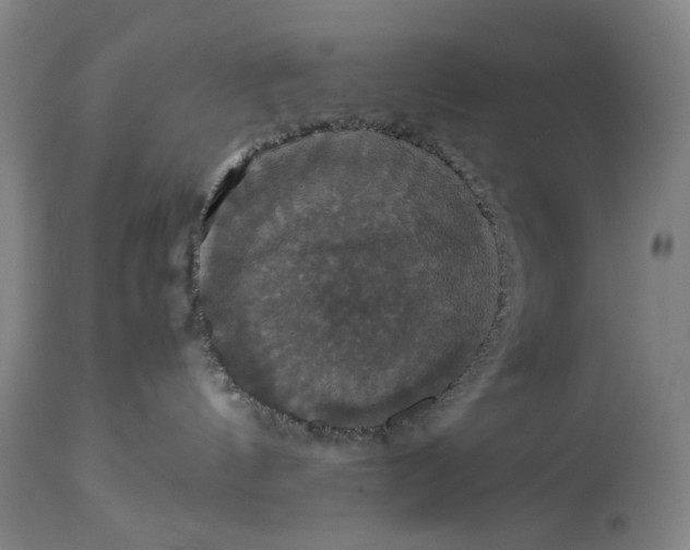 X0000114640144200911101307