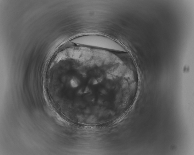 X0000114640145200911101306