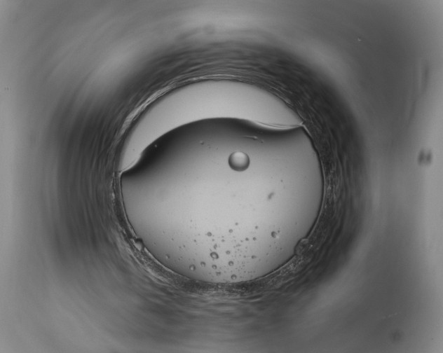 X0000114640146200911101306