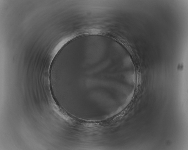 X0000114640147200911101306