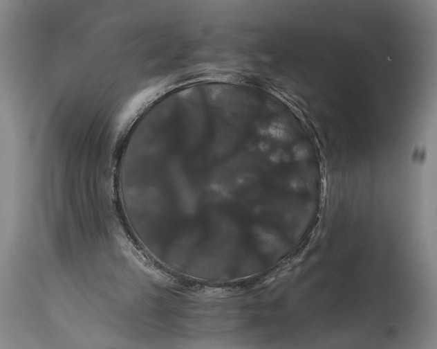 X0000114640149200911101306
