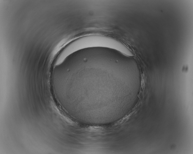 X0000114640150200911101306