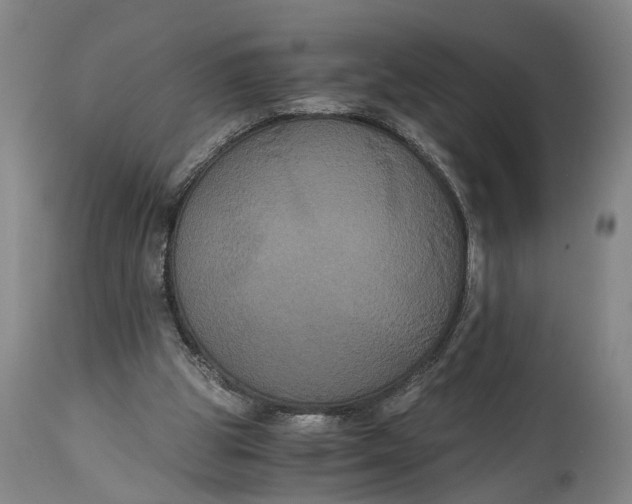 X0000114640153200911101306