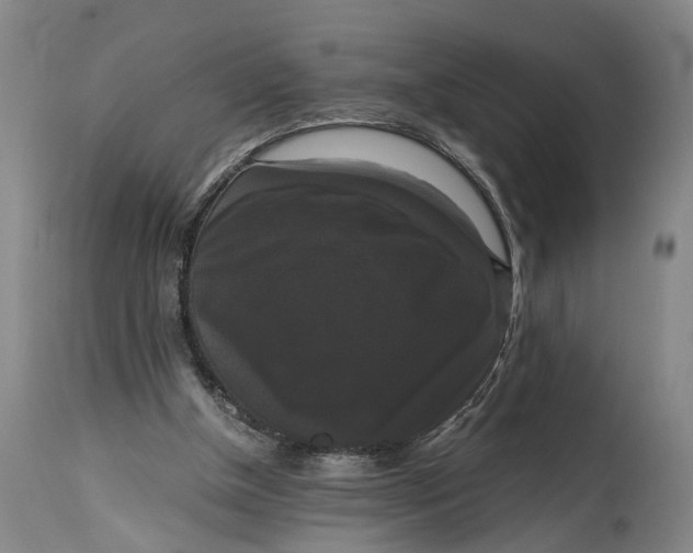X0000114640154200911101306