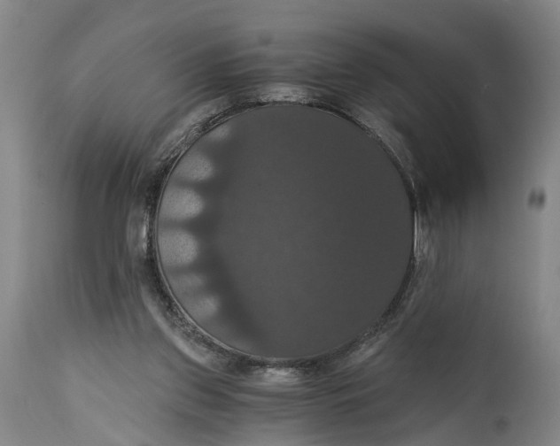 X0000114640157200911101306