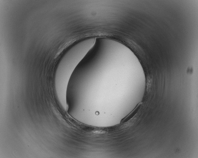 X0000114640158200911101306