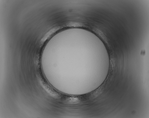 X0000114640159200911101306