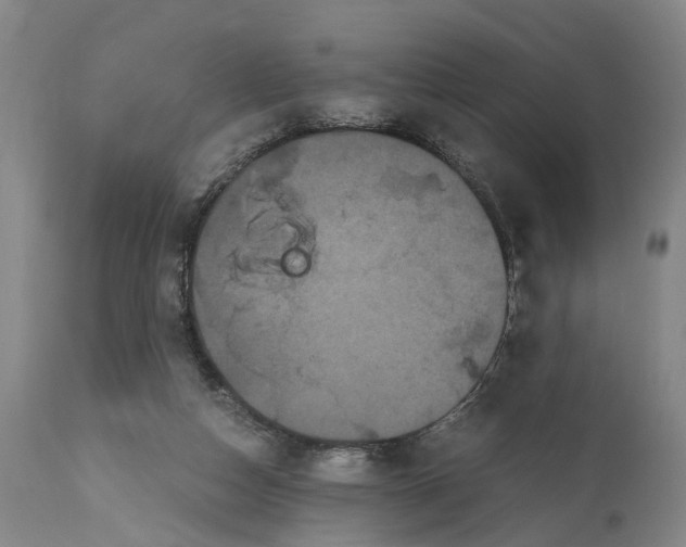 X0000114640162200911101306