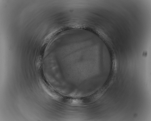 X0000114640165200911101306