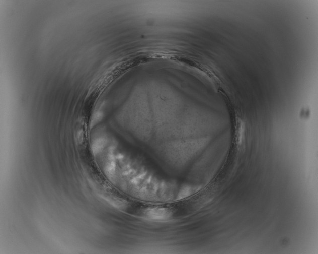 X0000114640169200911101306