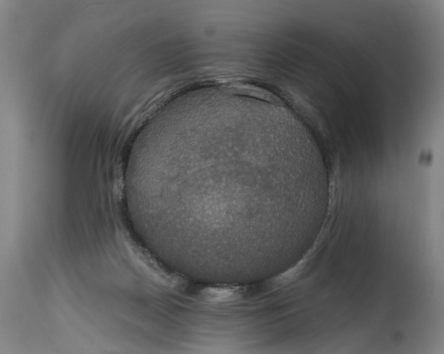 X0000114640170200911101306