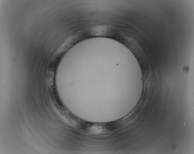 X0000114640171200911101306
