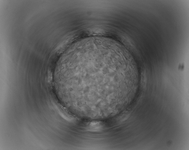 X0000114640173200911101306