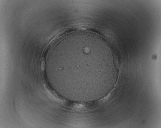 X0000114640174200911101306