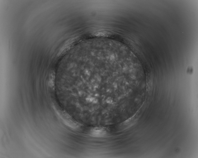 X0000114640175200911101306
