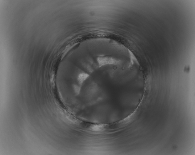 X0000114640178200911101307