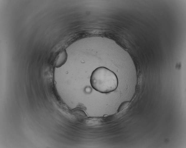 X0000114640179200911101307