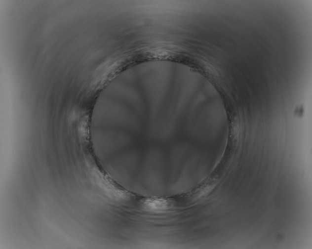 X0000114640181200911101307