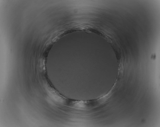 X0000114640182200911101307