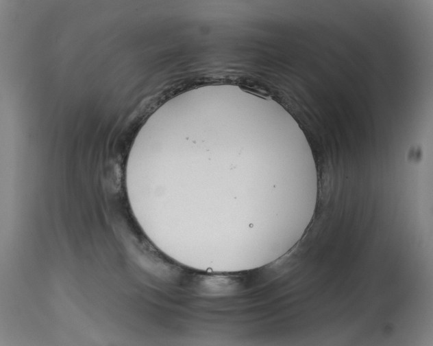 X0000114640183200911101307
