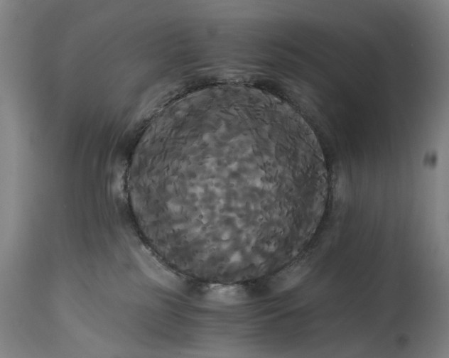 X0000114640185200911101307
