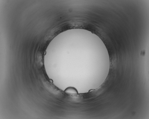 X0000114640187200911101307