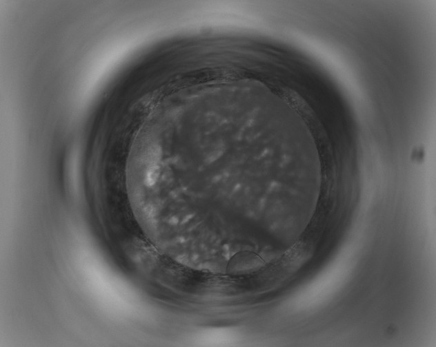 X0000114640189200911101307